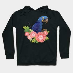 Hyacinth macaw Hoodie